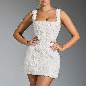 Oh Polly Posy Floral Appliqué Dress